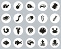 Meat & Seafood Icons Black & White Flat Design Circle Set Big