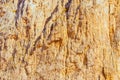 Image of the vertical mountain wall. Royalty Free Stock Photo