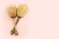 Image of vintage hair comb over pastel pink background