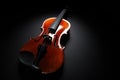 Image of violin music instrument on black background Royalty Free Stock Photo