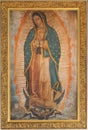 Image of the virgen de guadalupe in Basilica of Guadalupe, mexico VIII