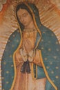 Image of the virgen de guadalupe in Basilica of Guadalupe, mexico VI