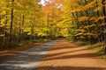 Voisey\'s Brook walking trail, Portugal Cove, Autumn color and light on a walking trail. made with Generative