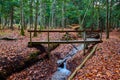 Walking wood bridge crosses over small creek in forest park during late fall with orange leaves covering ground Royalty Free Stock Photo