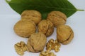 Image of walnut with leaf.