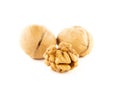 Image of walnut white background Royalty Free Stock Photo