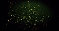 Image Of Warm Glowing Yellow Spots On Green Background