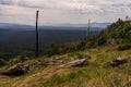 Mogollon Rim Arizona