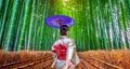 Traditional Japanese Woman Wearing Kimono Holding Purple Umbrella Walking Through Lush Bamboo Forest Path Royalty Free Stock Photo