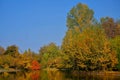 Autumn colors in the Botanical Garden of Bucharest.