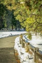 Clear Snow Free Path at Yosemite National Park