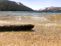 A log at the Lake in Yosemite Royalty Free Stock Photo
