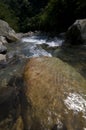 A clear water of river in the tropical forested area Royalty Free Stock Photo