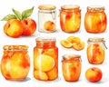 watercolor cartoon glass jar with peach apricot jam.