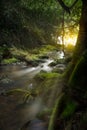 An Image of Waterfall in the morning with sun rays Royalty Free Stock Photo