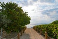 image of way with destination concept. summer way with palms. empty road way outdoor. way path alley