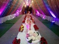 This is the image of wedding decoration which in many color light used