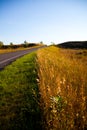 Wheat looking field next to green grass next to a long road leading into the horizon