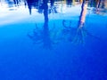 Image where it is possible to be observed in the surface of the water of a swimming pool two reflected palms Royalty Free Stock Photo