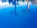 Image where it is possible to be observed in the surface of the water of a swimming pool two reflected palms. Benidorm, Spain Royalty Free Stock Photo