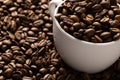 Image of white cup full of coffee beans on pile of coffee beans Royalty Free Stock Photo