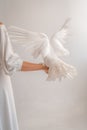 Image of white dove in pretty bride hands Royalty Free Stock Photo