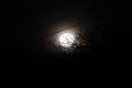 Image of a white and light full moon behind the trees int he dark. Royalty Free Stock Photo