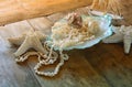 Image of white pearls necklace and seashells Royalty Free Stock Photo