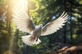 Image of white pigeon flying in the fertile forest. Bird. Nature. Illustration, Generative AI