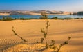 Desert Scene with Sand Dunes, Lake, Trees and Sand Patterns Royalty Free Stock Photo