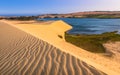 Desert Scene with Sand Dunes, Lake, Plants and Sand Patterns Royalty Free Stock Photo