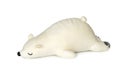 Image of white teddy bear is sleeping on white background. Animal dolls