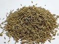 Image of whole cumin on white background