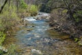 An Image of a Wild Mountain Trout Stream Royalty Free Stock Photo