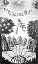 Image of winged mercury taken from the alchemical treatise famae alchymiae of 1700