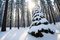 Winter fairy tale in the forest.Spruce in the snow. made with Generative AI