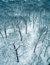 Winter landscape overhead drone view of forest tree and snow Royalty Free Stock Photo