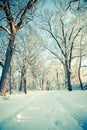 Winter landscape with snow covered road and bare trees Royalty Free Stock Photo