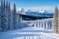 Winter Wonderland in Bragg Creek, Kananaskis Country, Alberta, Canada. made with Generative AI