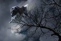Image of a wolf jumping from the sky at the moony night