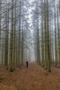 Image of a woman standing on a trail looking for her dog among tall pine trees in the forest Royalty Free Stock Photo