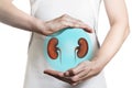 Concept of healthy kidneys and organ donation