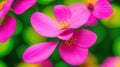 An Image Of A Wonderful Pink Flower With Yellow Stamens AI Generative
