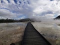 An image of a wooden boardwalk across active geothermal area on the North Island of New Zealand in the afternoon