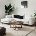 Wooden coffee tables with contemporary sofa