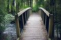 A wooden foot bridge crossing a river in a forest Royalty Free Stock Photo