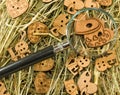 image of wooden hearts, magnifier and letters on dry grass