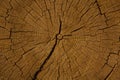 Image of wooden stub background