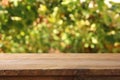 Image of wooden table in front of blurred vineyard landscape at sun light. Ready for product display montage. Royalty Free Stock Photo