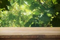 Image of wooden table in front of blurred vineyard landscape at sun light. Ready for product display montage. Royalty Free Stock Photo